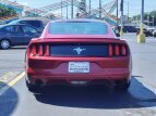 Thumbnail Photo 4 for 2016 Ford Mustang